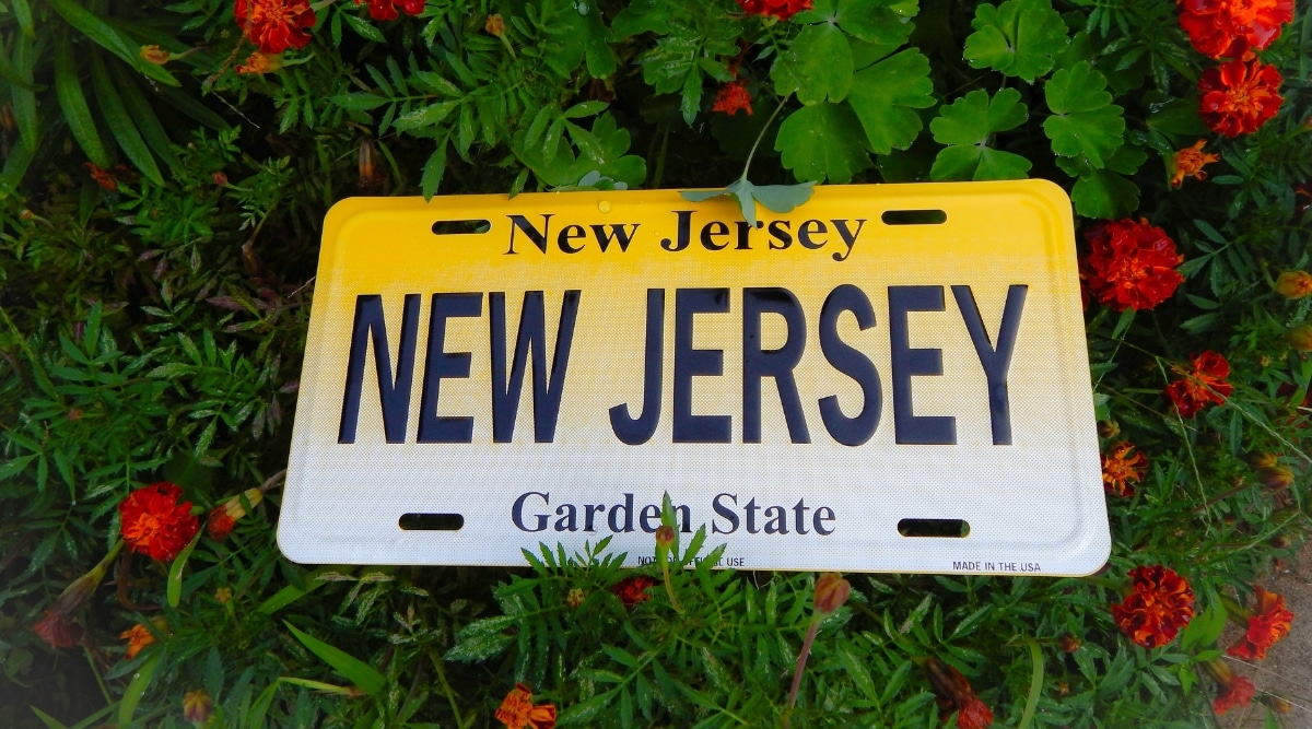 New Jersey Lottery Results