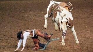 rodeo rider falls