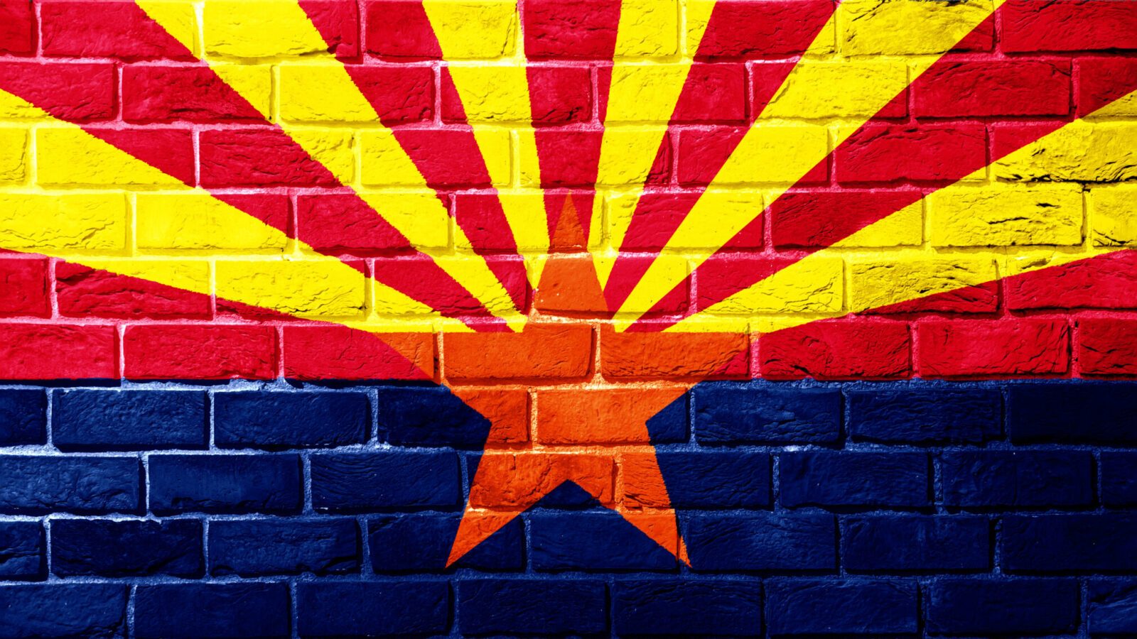 Arizona bans bulk purchases