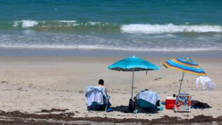 sunny beach day florida